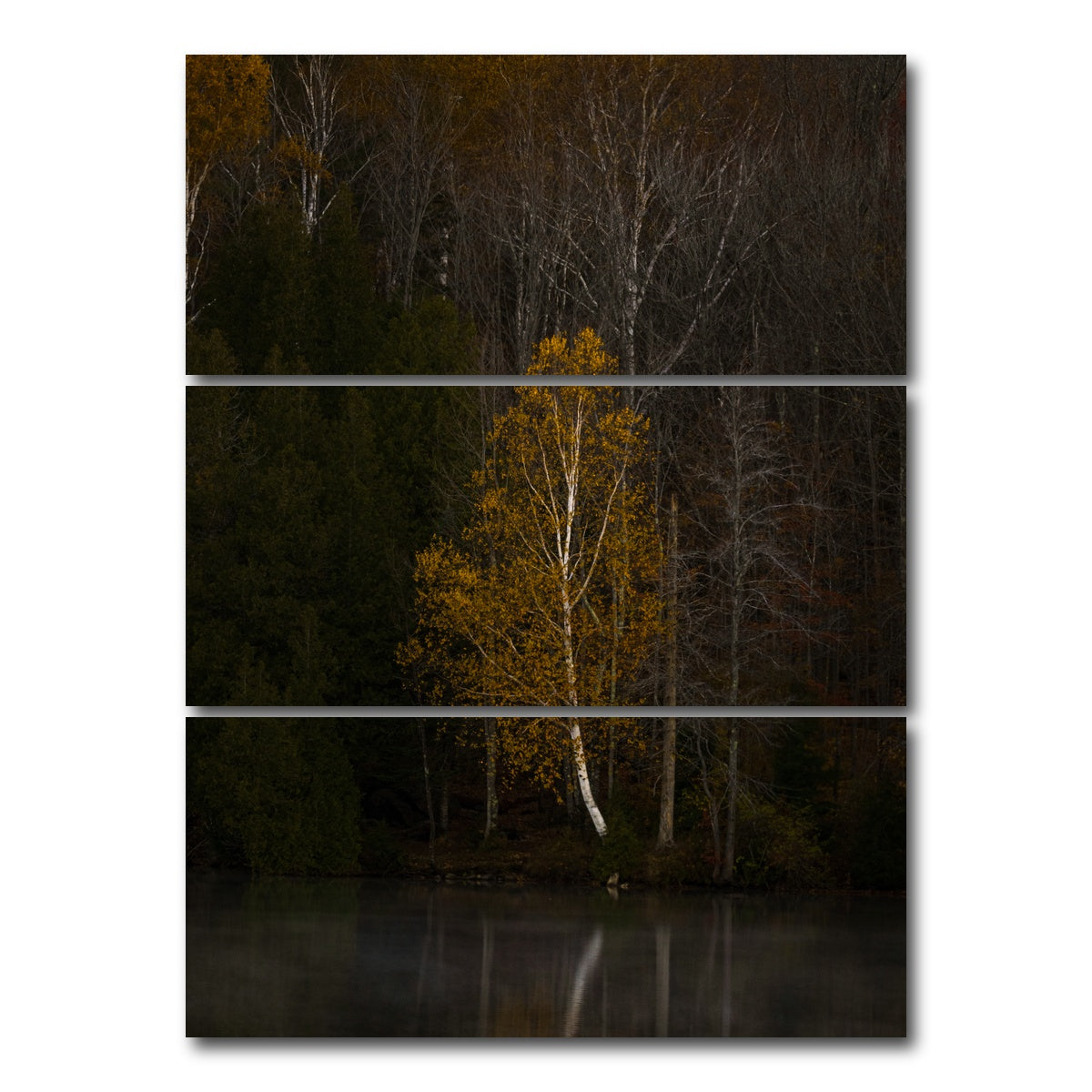 AUTO-MOCKUP WHITE | Moody Vermont Morning | 3 Piece | Gallery Wrap Canvas | group=8x18_stacked