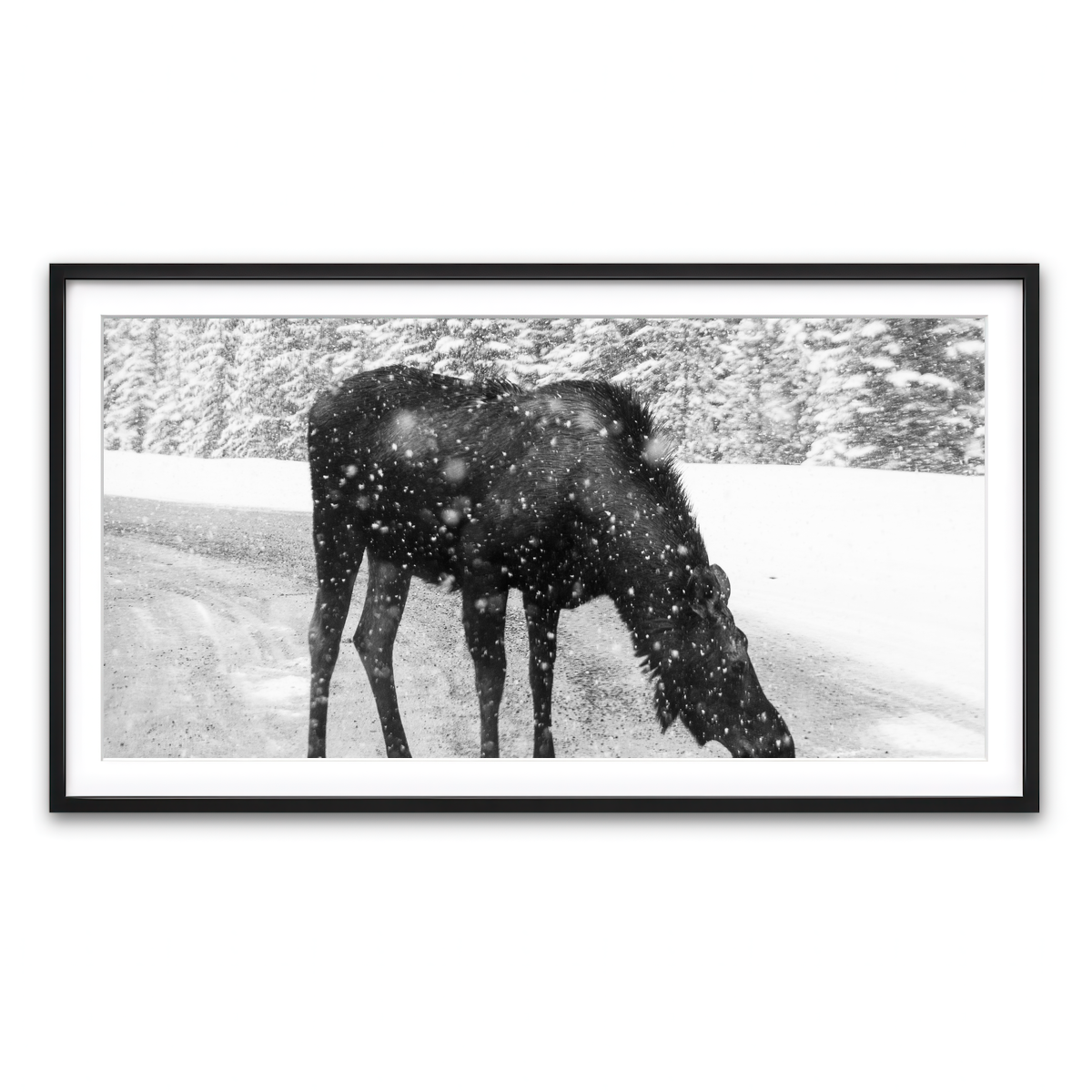 Framed Print 2x1 Black