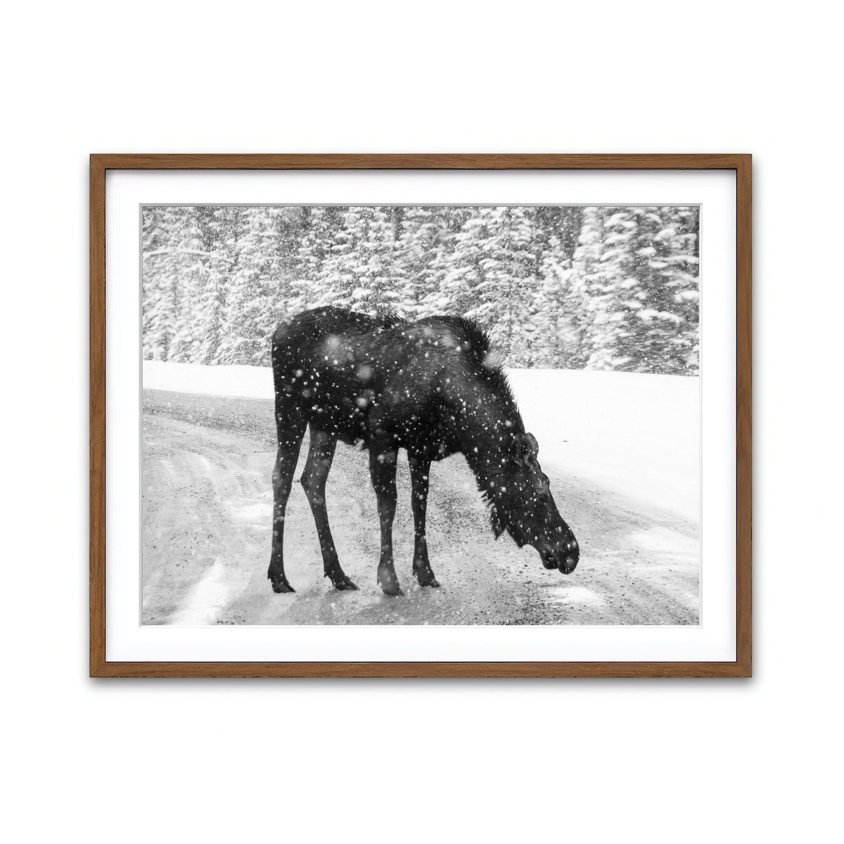 Framed Print 4x3 Walnut