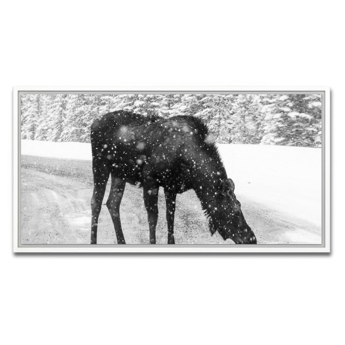 AUTO-MOCKUP WHITE | Moose | 1 Piece | White Framed Canvas | group=2x1