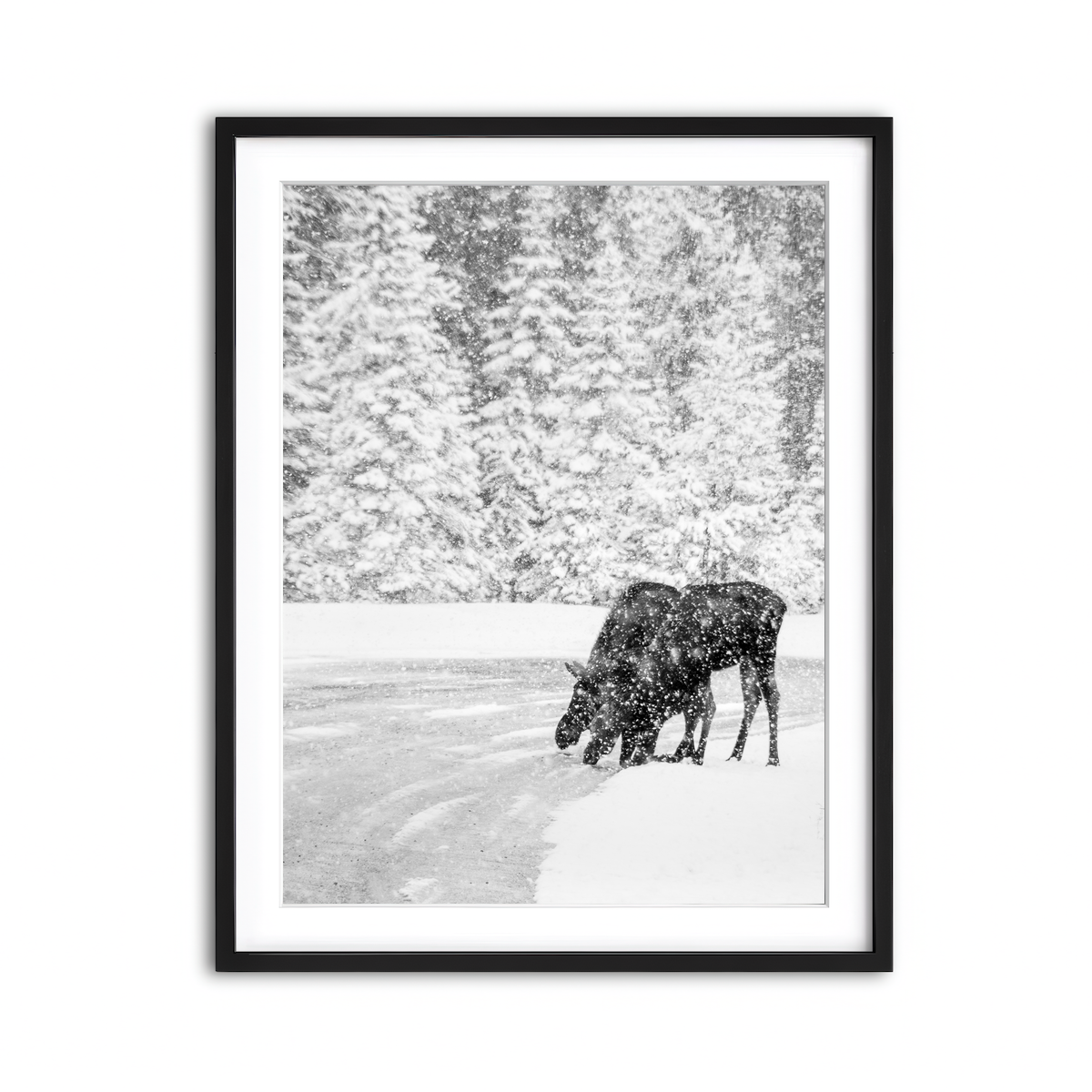 Framed Print 3x4 Black