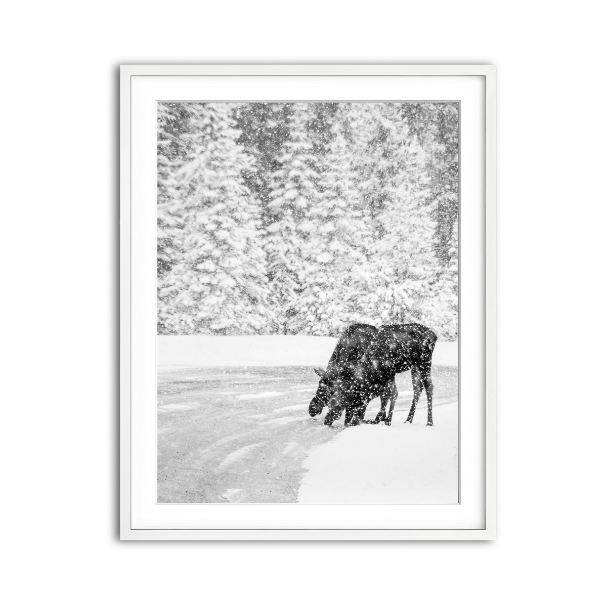Framed Print 3x4 White