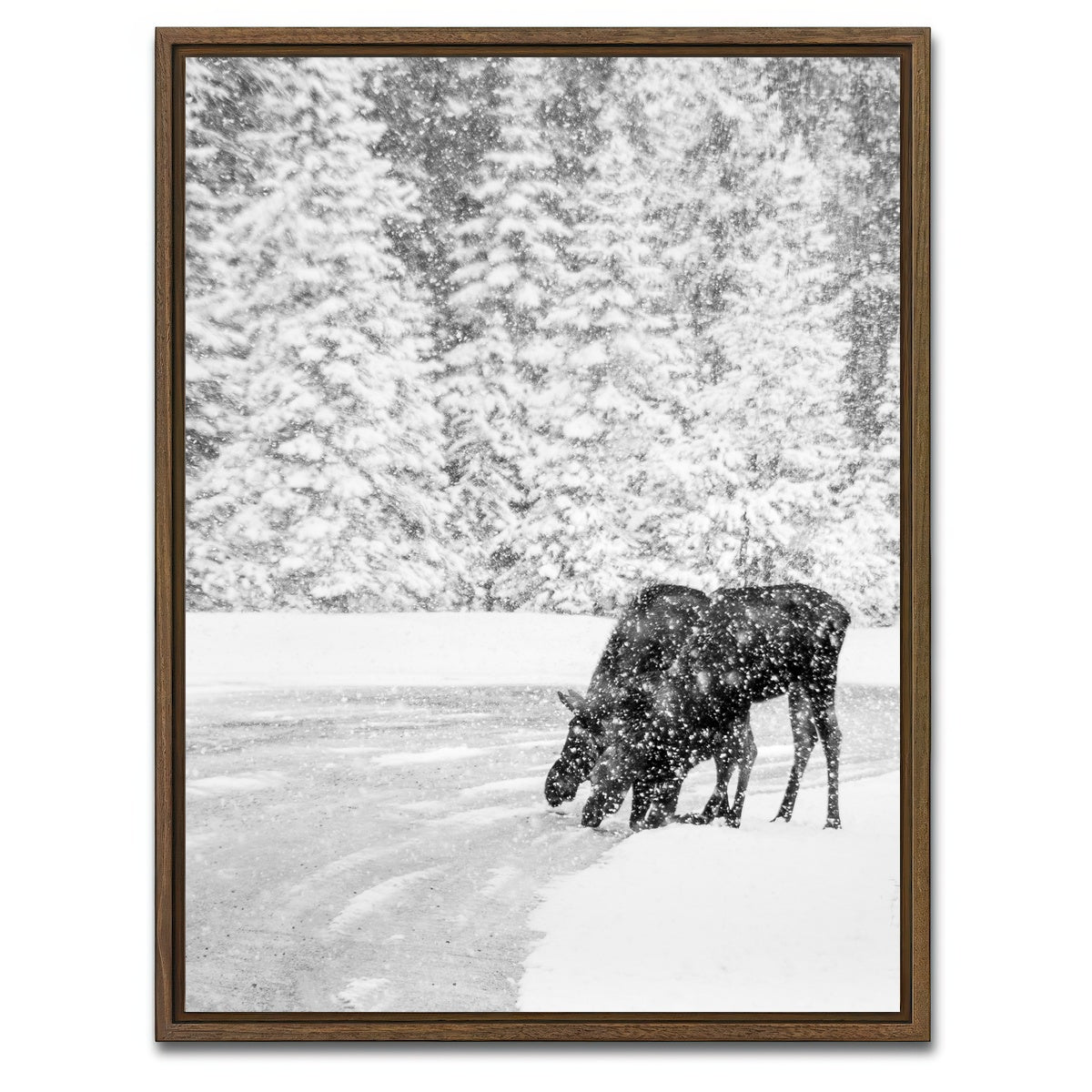 AUTO-MOCKUP WHITE | Mooses | 1 Piece | Walnut Framed Canvas | group=3x4