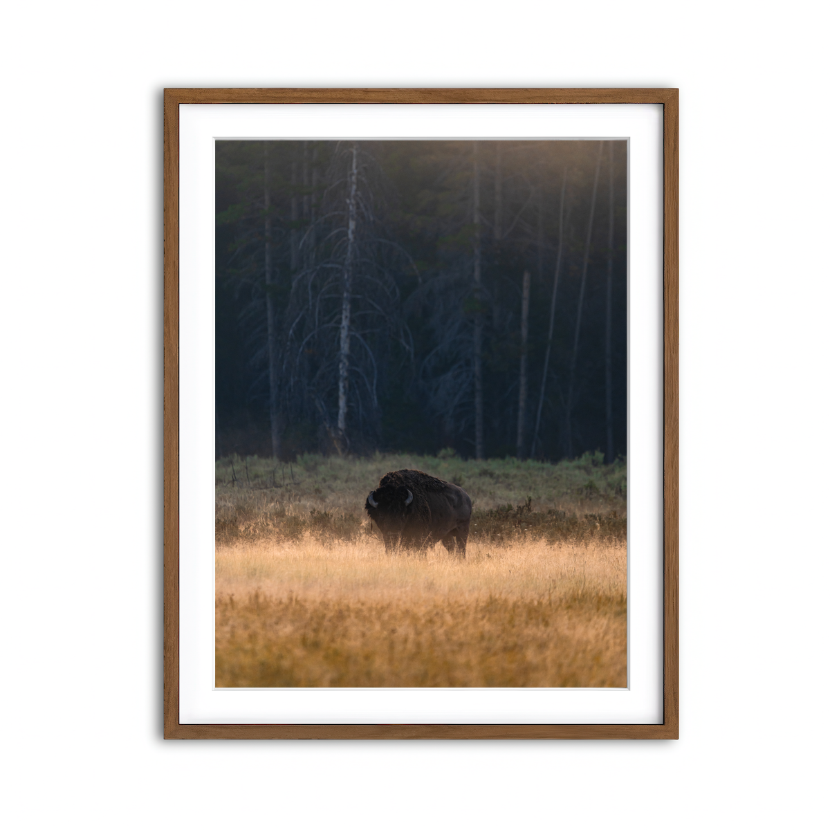 Framed Print 3x4 Walnut