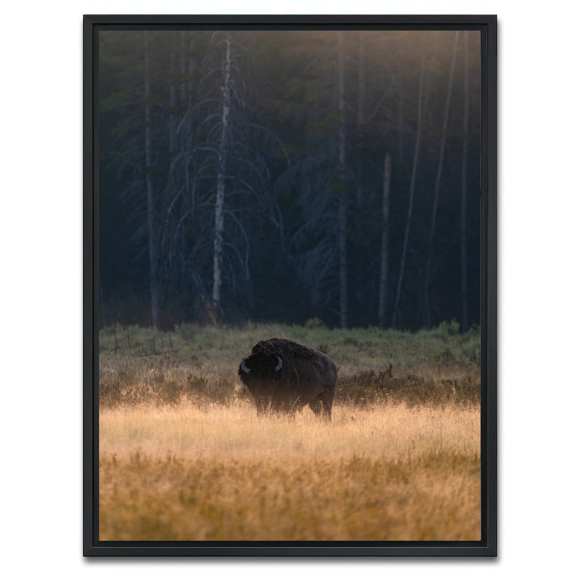 AUTO-MOCKUP WHITE | Morning Graze | 1 Piece | Black Framed Canvas | group=3x4