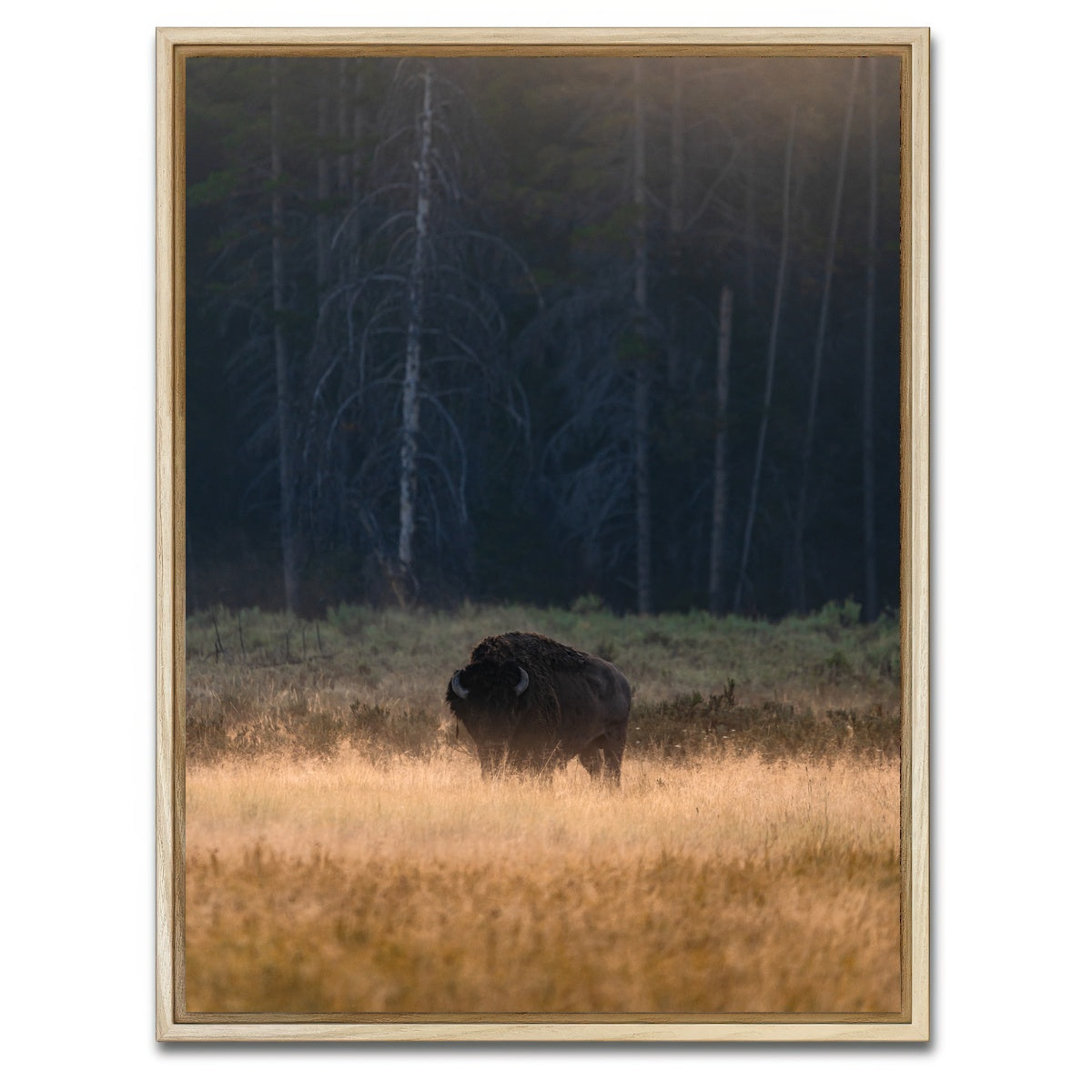 AUTO-MOCKUP WHITE | Morning Graze | 1 Piece | Natural Framed Canvas | group=3x4