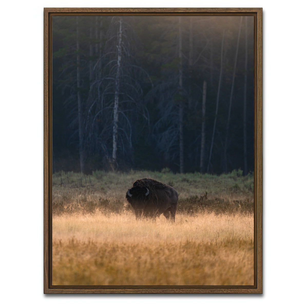 AUTO-MOCKUP WHITE | Morning Graze | 1 Piece | Walnut Framed Canvas | group=3x4