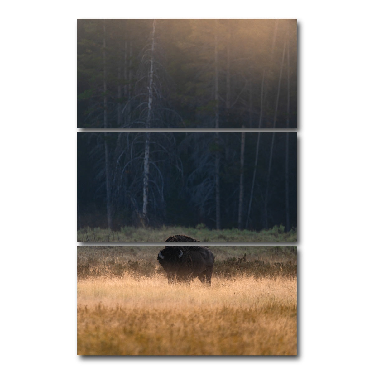 AUTO-MOCKUP WHITE | Morning Graze | 3 Piece | Gallery Wrap Canvas | group=12x24_stacked