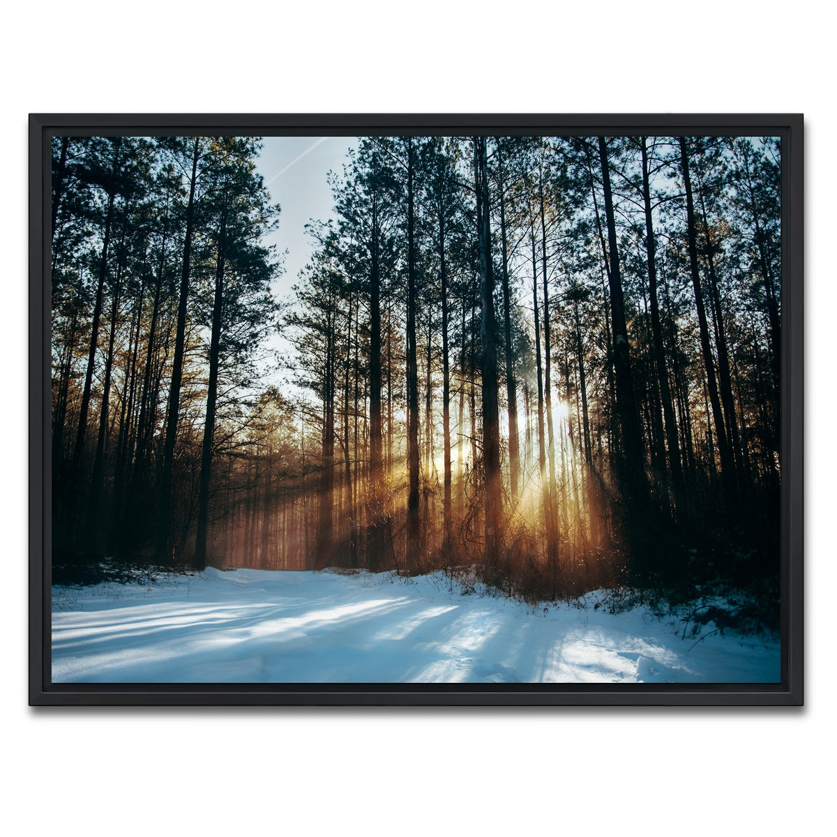 AUTO-MOCKUP WHITE | Morning Light | 1 Piece | Black Framed Canvas | group=4x3