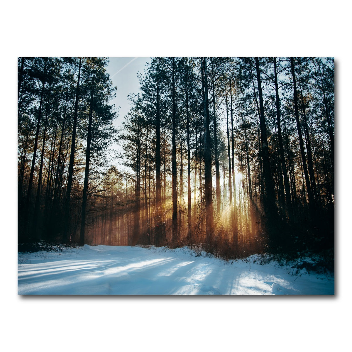 AUTO-MOCKUP WHITE | Morning Light | 1 Piece | Gallery Wrap Canvas | group=4x3