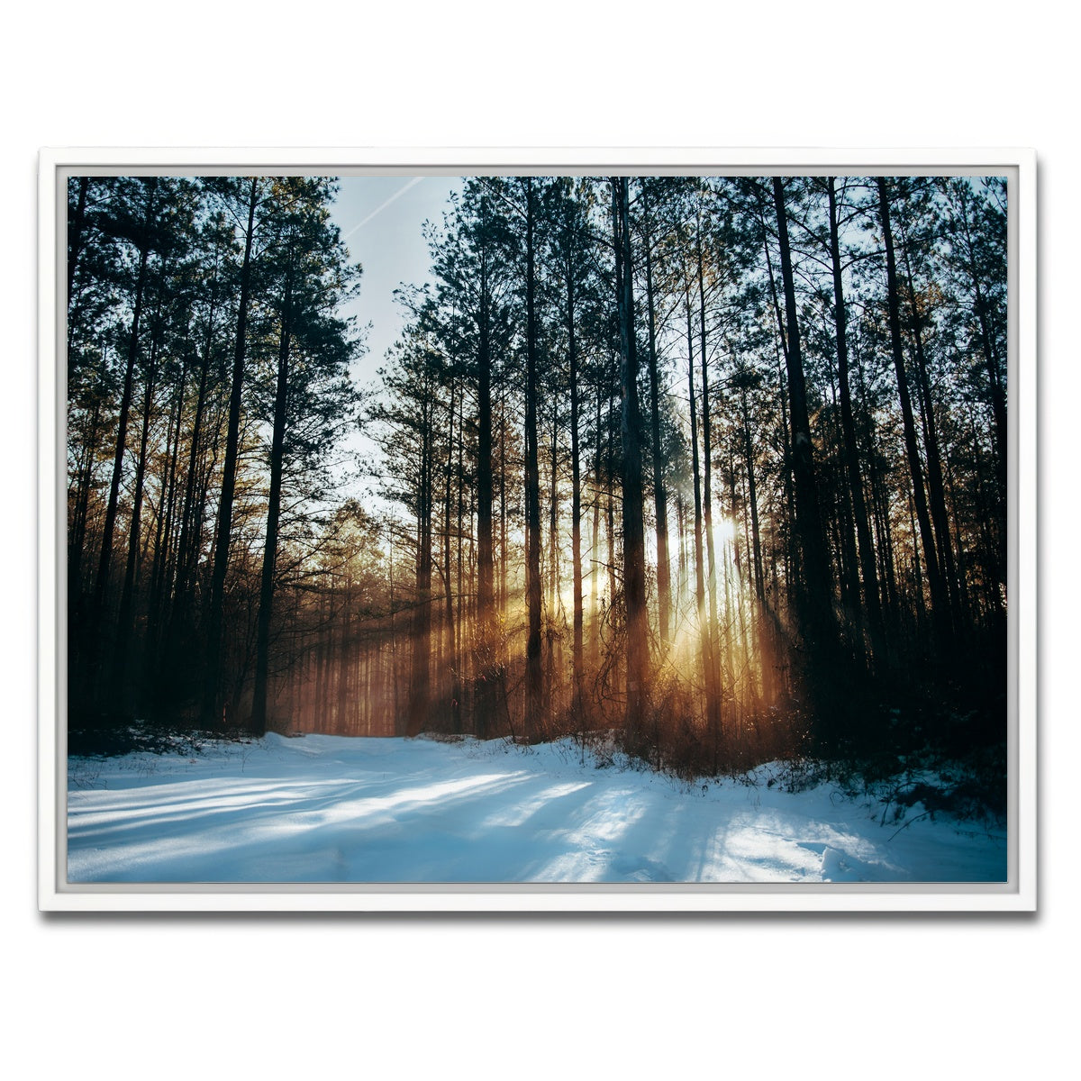 AUTO-MOCKUP WHITE | Morning Light | 1 Piece | White Framed Canvas | group=4x3