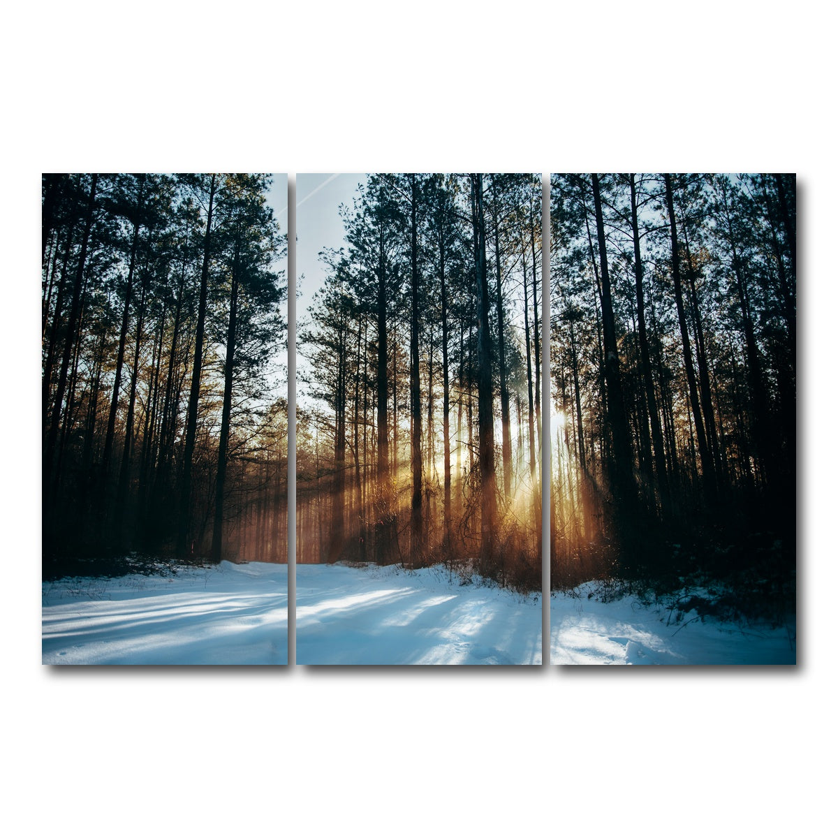 AUTO-MOCKUP WHITE | Morning Light | 3 Piece | Gallery Wrap Canvas | group=12x24
