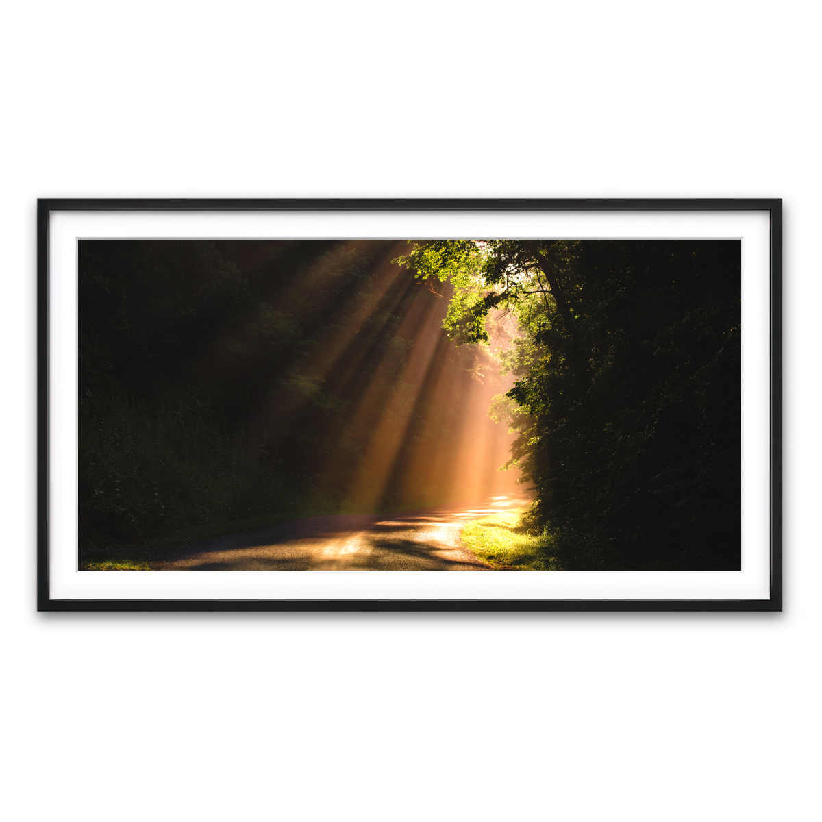 Framed Print 2x1 Black