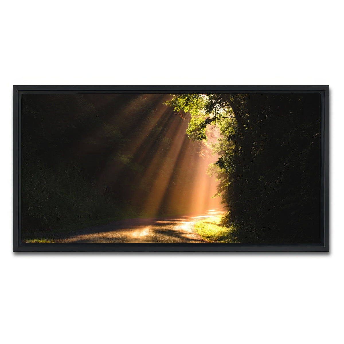 AUTO-MOCKUP WHITE | Morning Rays | 1 Piece | Black Framed Canvas | group=2x1