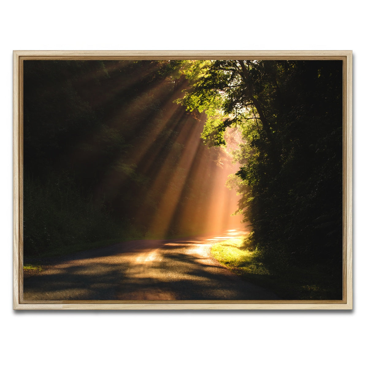 AUTO-MOCKUP WHITE | Morning Rays | 1 Piece | Natural Framed Canvas | group=4x3