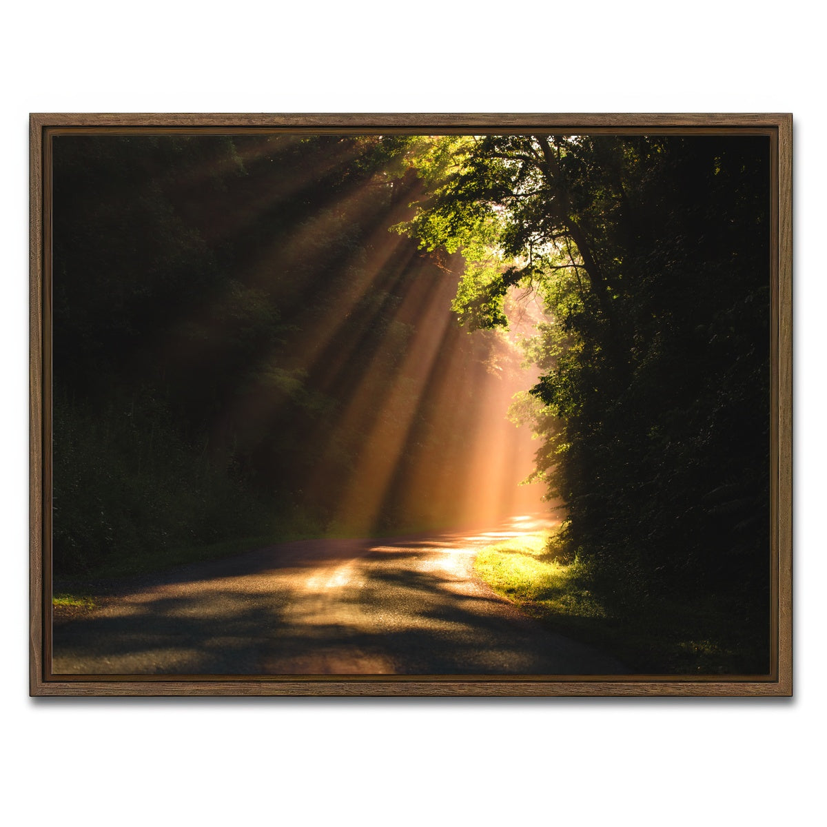 AUTO-MOCKUP WHITE | Morning Rays | 1 Piece | Walnut Framed Canvas | group=4x3