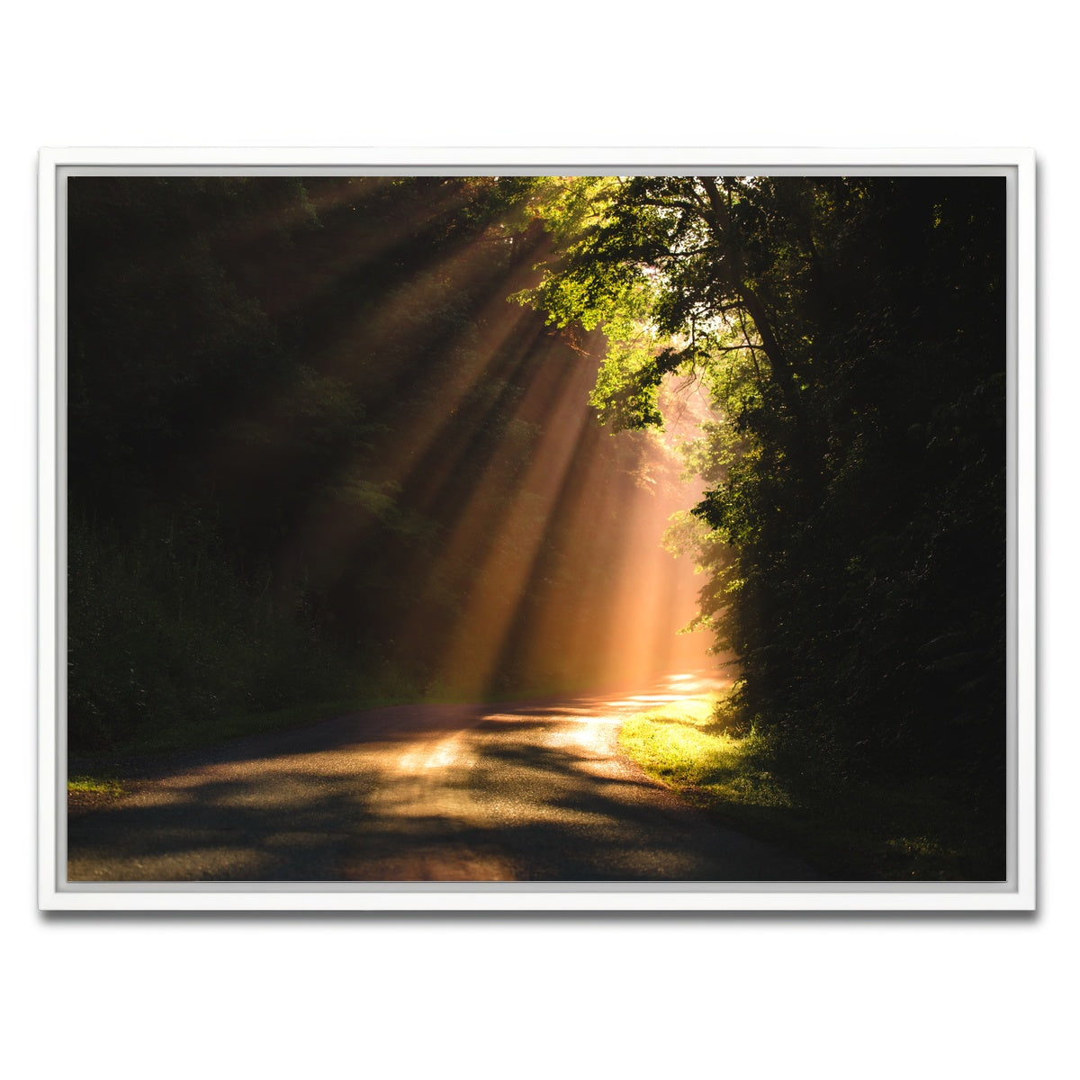 AUTO-MOCKUP WHITE | Morning Rays | 1 Piece | White Framed Canvas | group=4x3