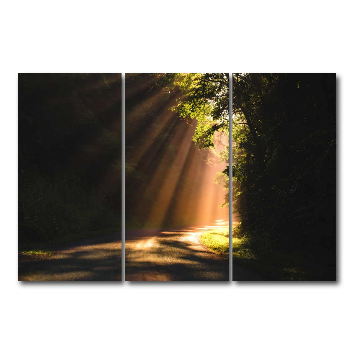 AUTO-MOCKUP WHITE | Morning Rays | 3 Piece | Gallery Wrap Canvas | group=12x24