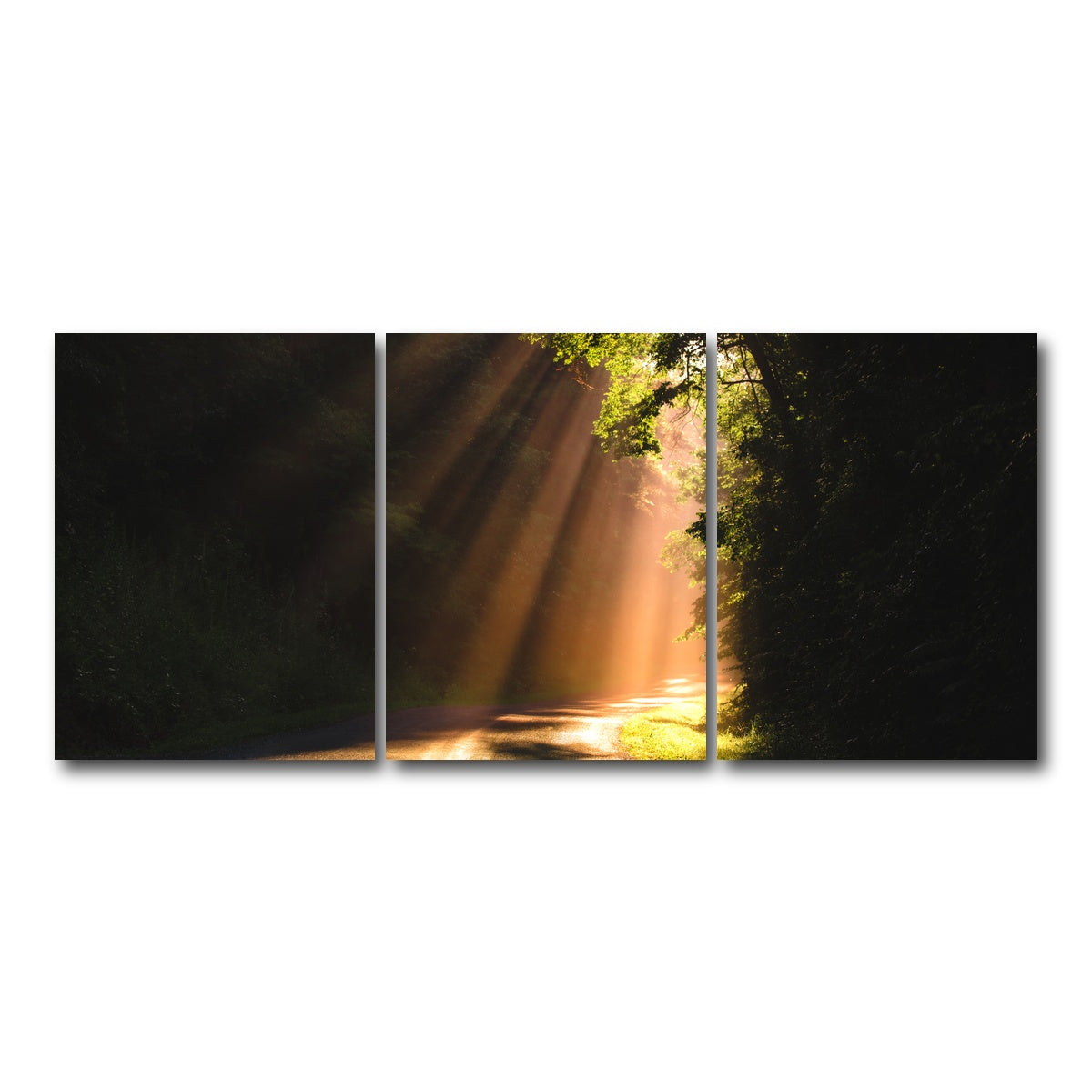 AUTO-MOCKUP WHITE | Morning Rays | 3 Piece | Gallery Wrap Canvas | group=18x24