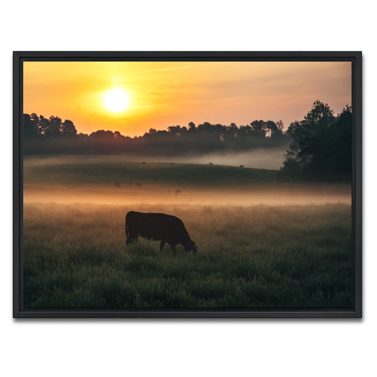 AUTO-MOCKUP WHITE | Morning Walks | 1 Piece | Black Framed Canvas | group=4x3