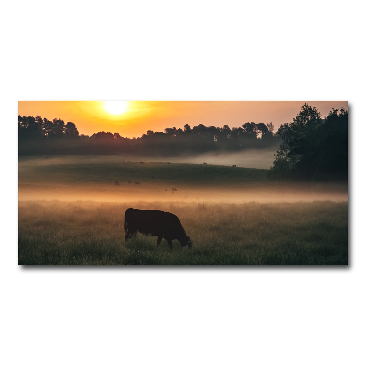 AUTO-MOCKUP WHITE | Morning Walks | 1 Piece | Gallery Wrap Canvas | group=2x1