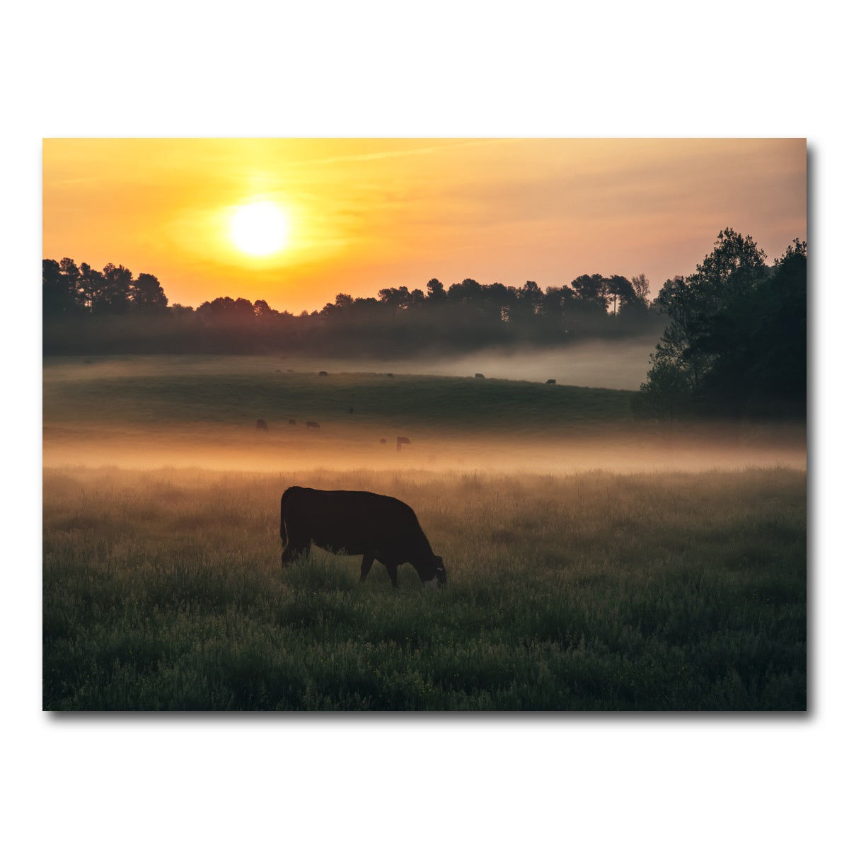 AUTO-MOCKUP WHITE | Morning Walks | 1 Piece | Gallery Wrap Canvas | group=4x3
