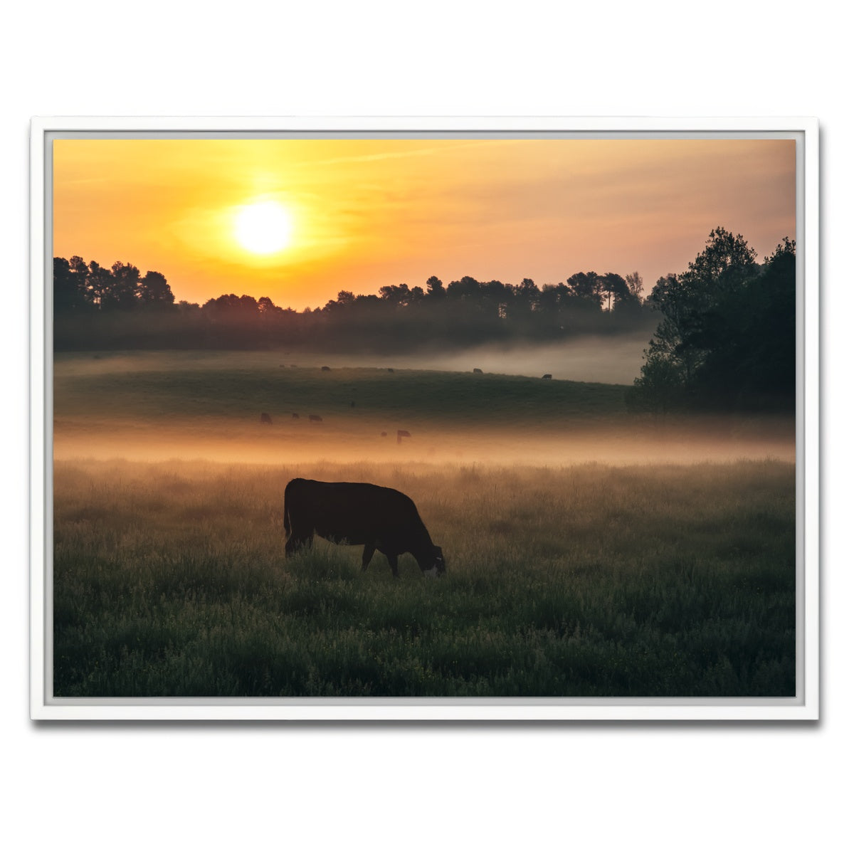 AUTO-MOCKUP WHITE | Morning Walks | 1 Piece | White Framed Canvas | group=4x3