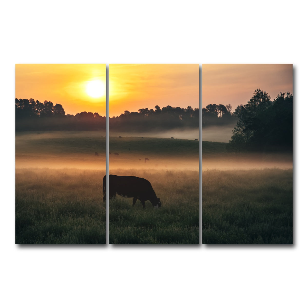 AUTO-MOCKUP WHITE | Morning Walks | 3 Piece | Gallery Wrap Canvas | group=12x24