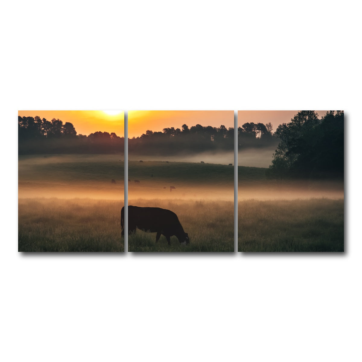 AUTO-MOCKUP WHITE | Morning Walks | 3 Piece | Gallery Wrap Canvas | group=18x24
