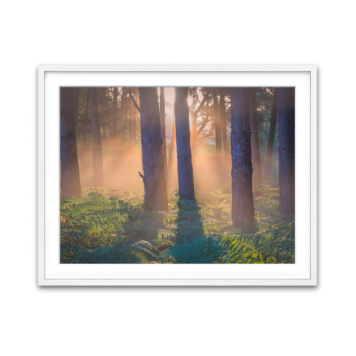 Framed Print 4x3 White