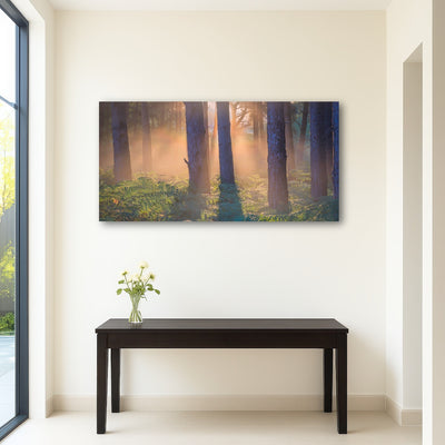 AUTO-MOCKUP ROOM | Morning in Reigate heath