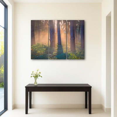 AUTO-MOCKUP ROOM | Morning in Reigate heath