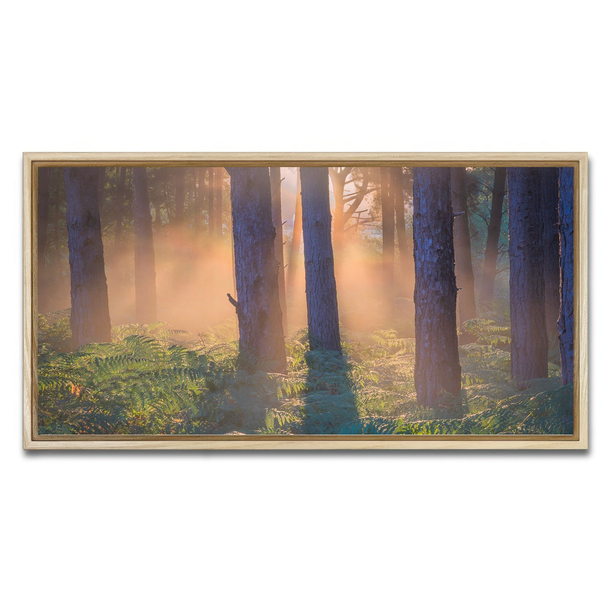 AUTO-MOCKUP WHITE | Morning in Reigate heath | 1 Piece | Natural Framed Canvas | group=2x1