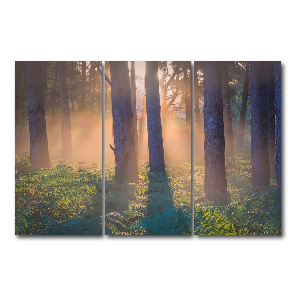 AUTO-MOCKUP WHITE | Morning in Reigate heath | 3 Piece | Gallery Wrap Canvas | group=12x24