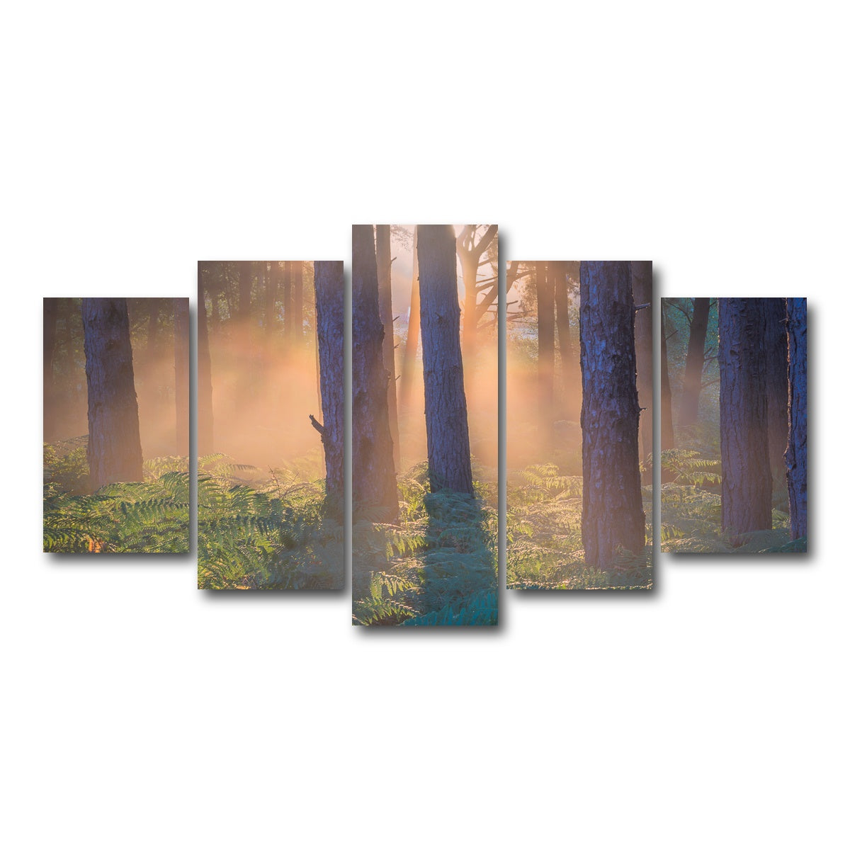 AUTO-MOCKUP WHITE | Morning in Reigate heath | 5 Piece | Gallery Wrap Canvas | group=5_normal