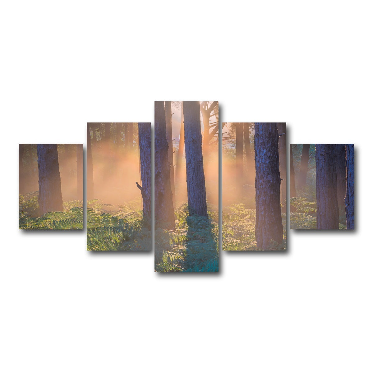 AUTO-MOCKUP WHITE | Morning in Reigate heath | 5 Piece | Gallery Wrap Canvas | group=5_short