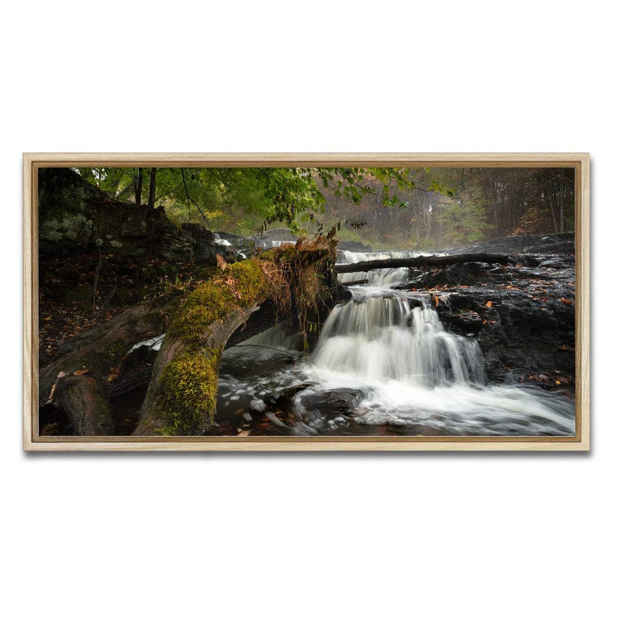 AUTO-MOCKUP WHITE | Mossy Limbs | 1 Piece | Natural Framed Canvas | group=2x1