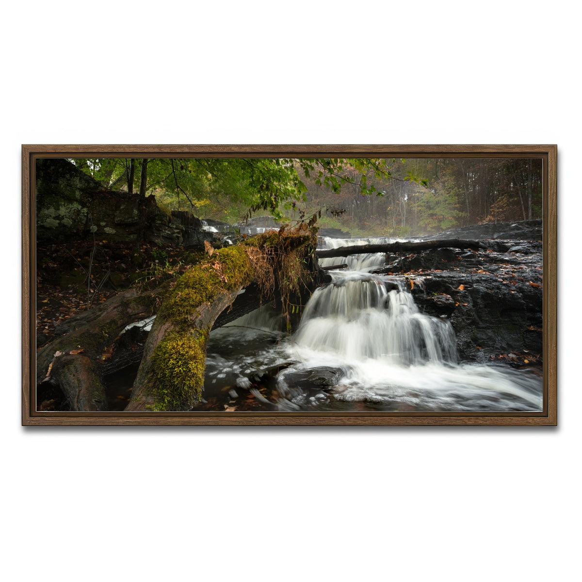 AUTO-MOCKUP WHITE | Mossy Limbs | 1 Piece | Walnut Framed Canvas | group=2x1