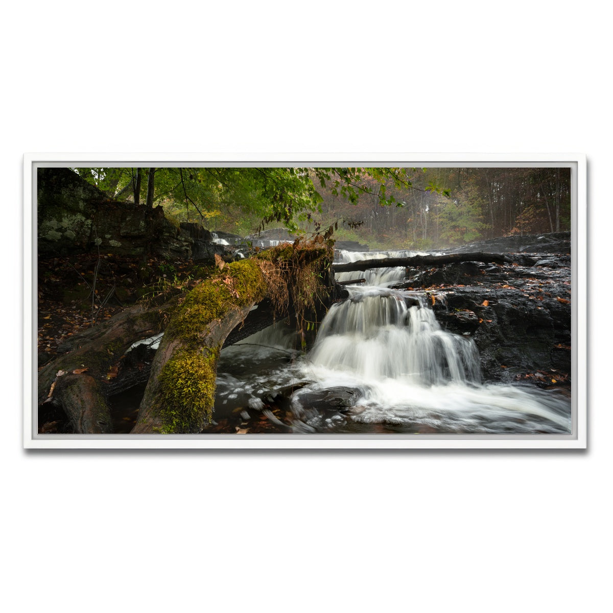 AUTO-MOCKUP WHITE | Mossy Limbs | 1 Piece | White Framed Canvas | group=2x1