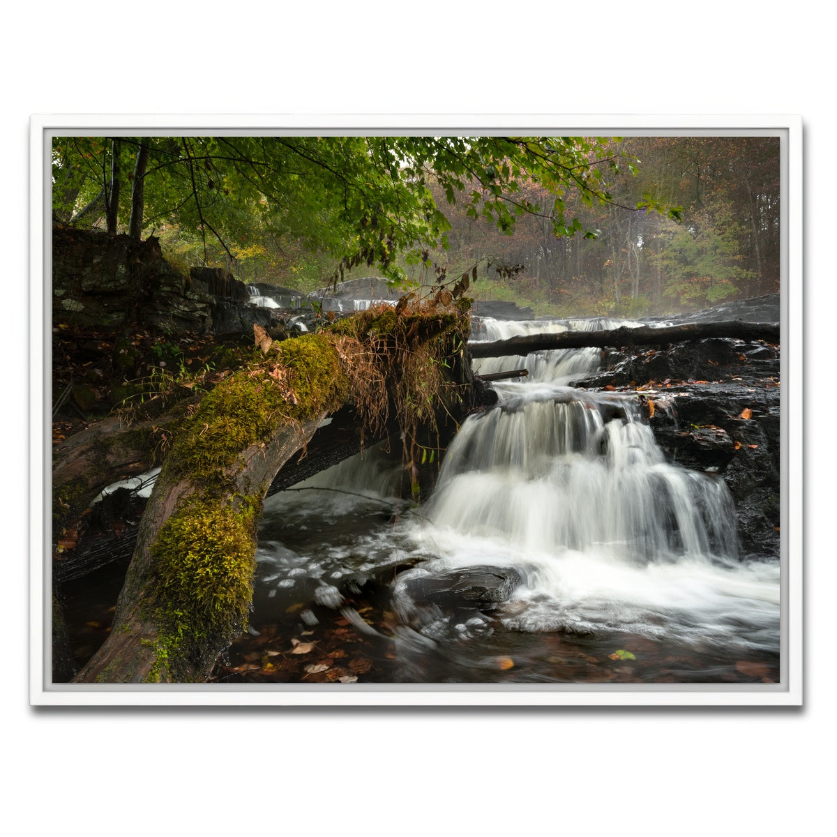 AUTO-MOCKUP WHITE | Mossy Limbs | 1 Piece | White Framed Canvas | group=4x3