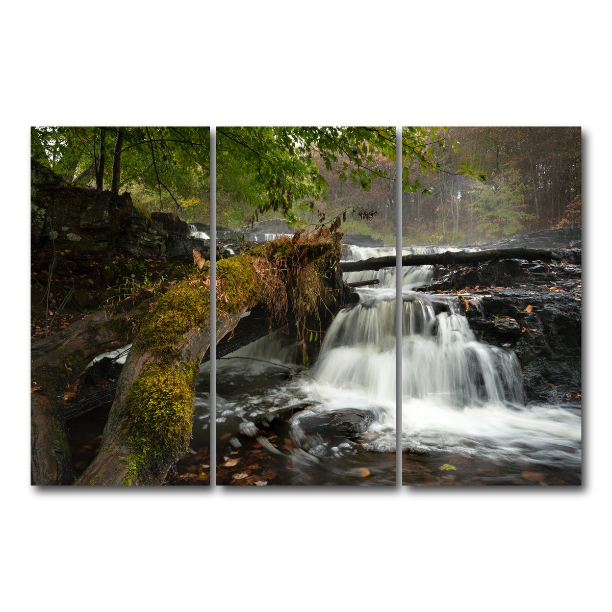 AUTO-MOCKUP WHITE | Mossy Limbs | 3 Piece | Gallery Wrap Canvas | group=12x24