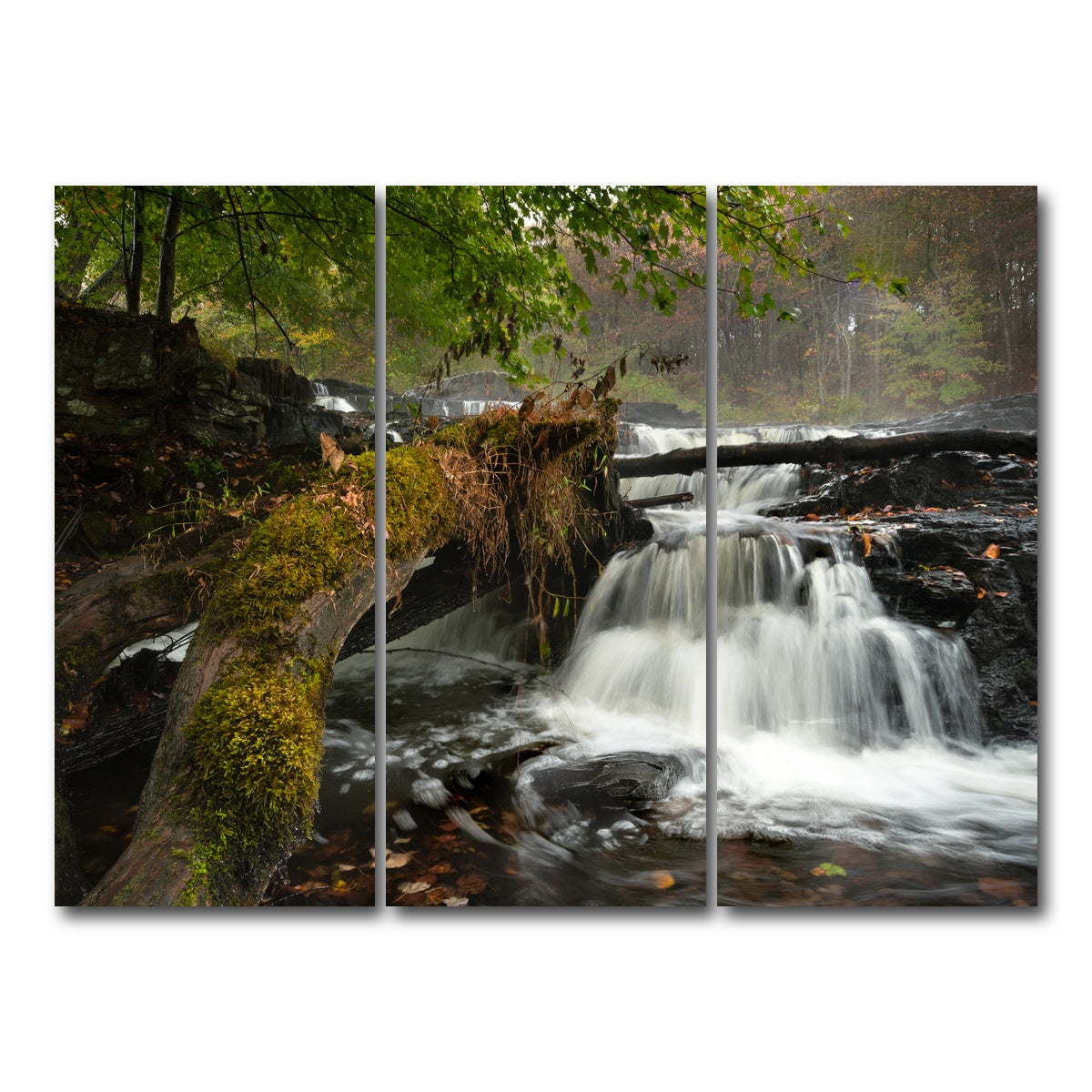 AUTO-MOCKUP WHITE | Mossy Limbs | 3 Piece | Gallery Wrap Canvas | group=8x18