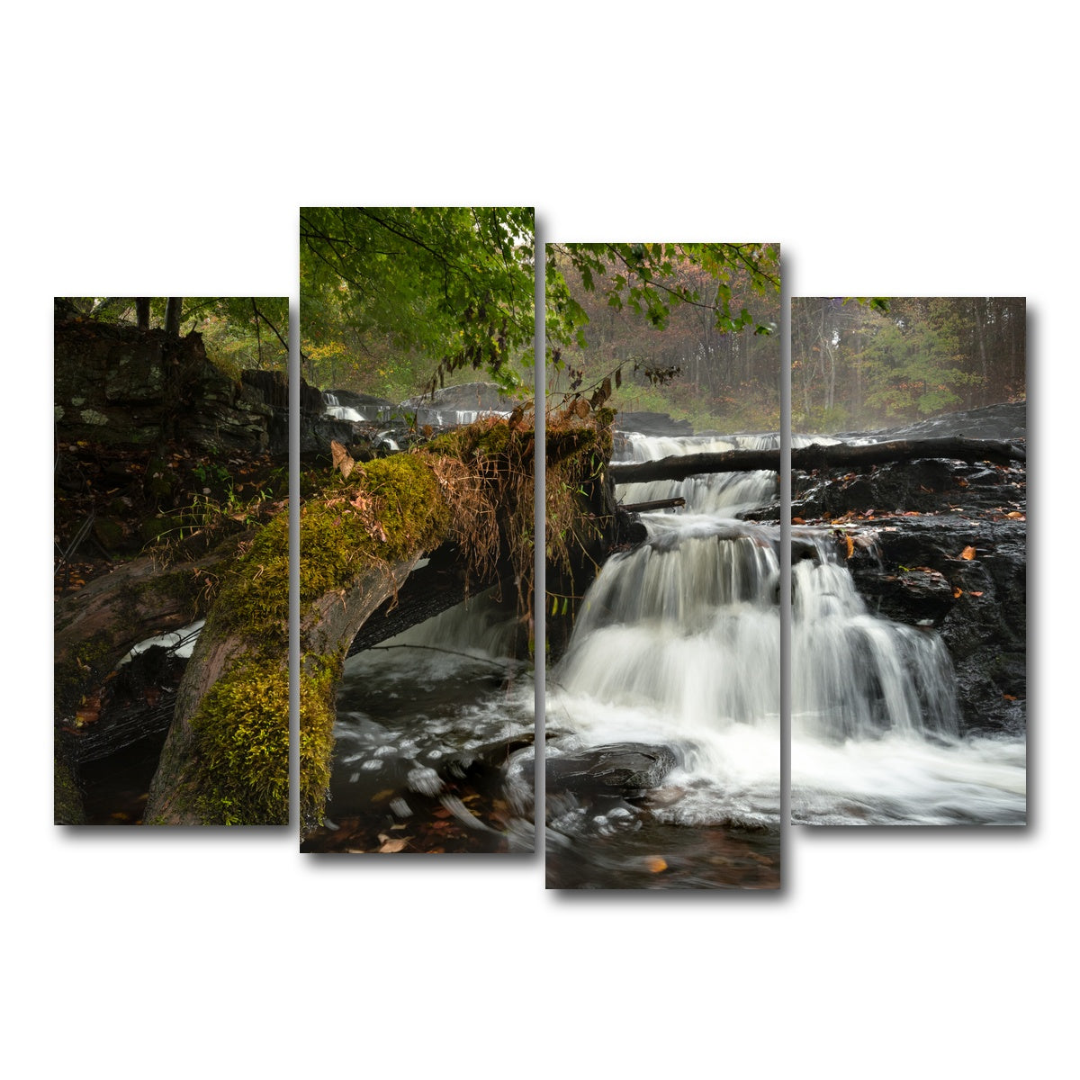 AUTO-MOCKUP WHITE | Mossy Limbs | 4 Piece | Gallery Wrap Canvas | group=4_normal