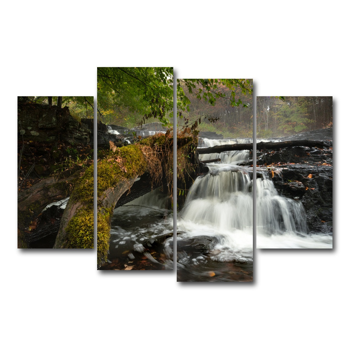 AUTO-MOCKUP WHITE | Mossy Limbs | 4 Piece | Gallery Wrap Canvas | group=4_short