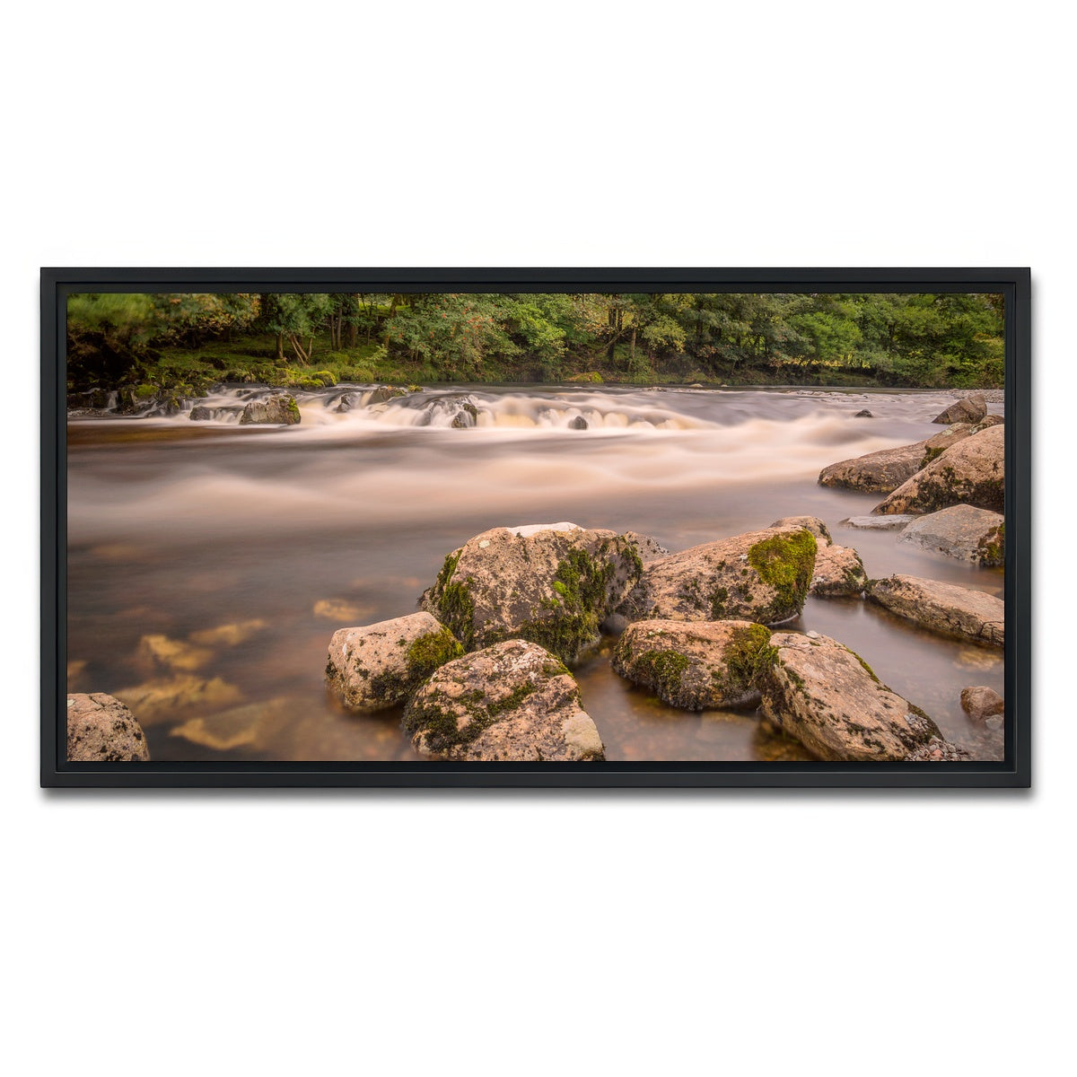AUTO-MOCKUP WHITE | Mossy Rocks | 1 Piece | Black Framed Canvas | group=2x1
