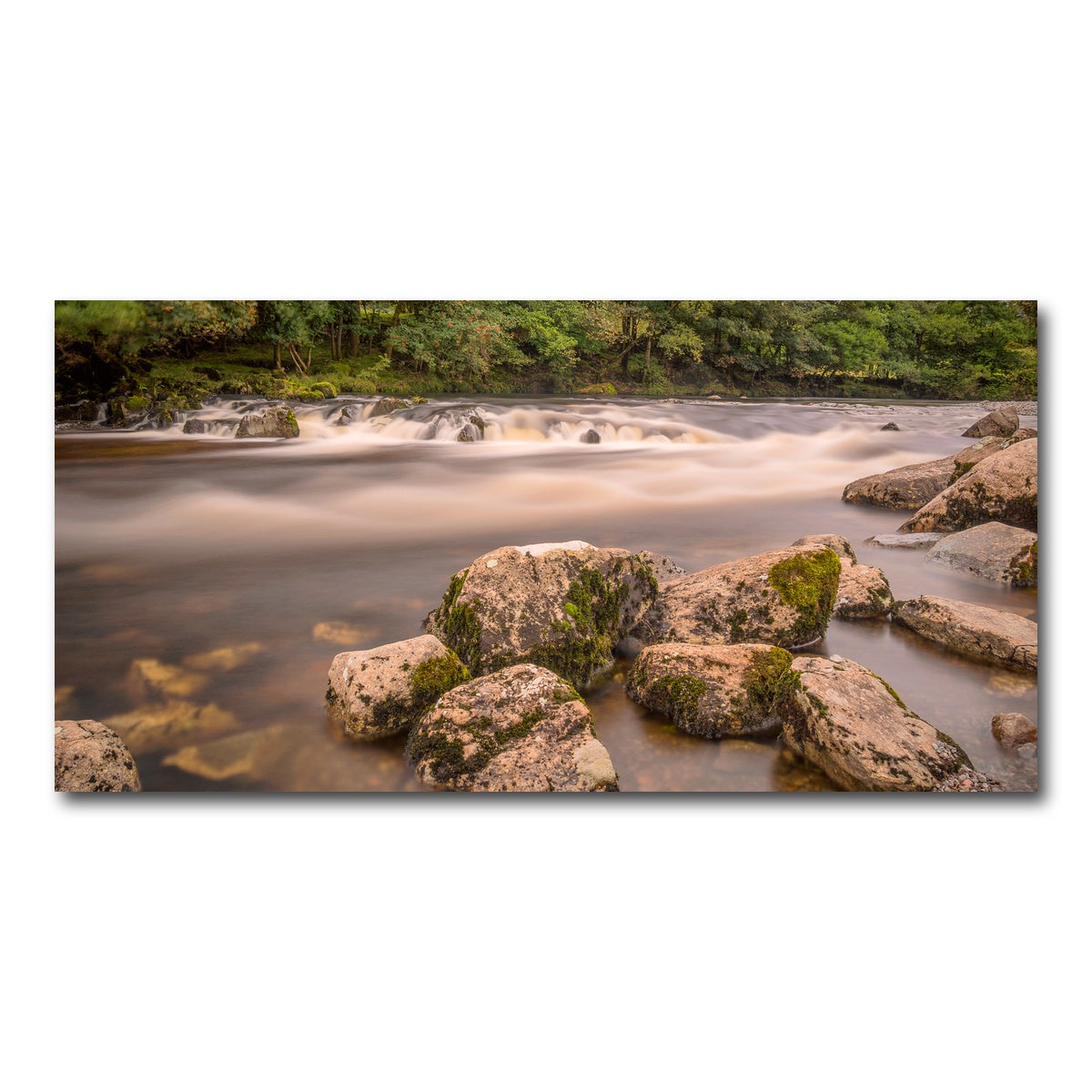 AUTO-MOCKUP WHITE | Mossy Rocks | 1 Piece | Gallery Wrap Canvas | group=2x1