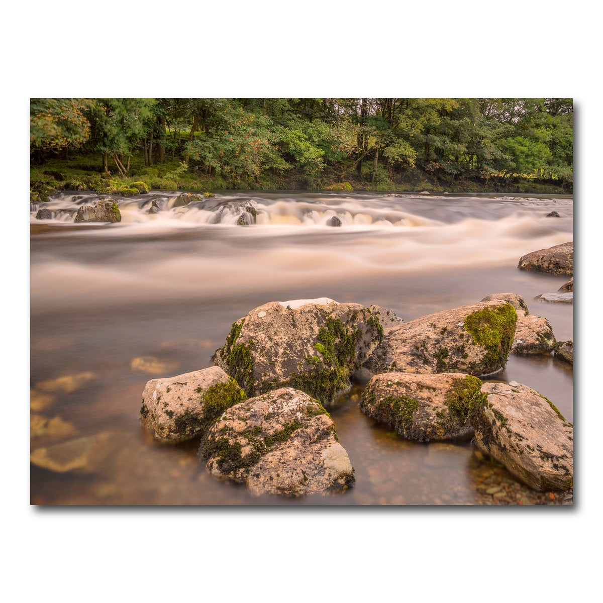 AUTO-MOCKUP WHITE | Mossy Rocks | 1 Piece | Gallery Wrap Canvas | group=4x3