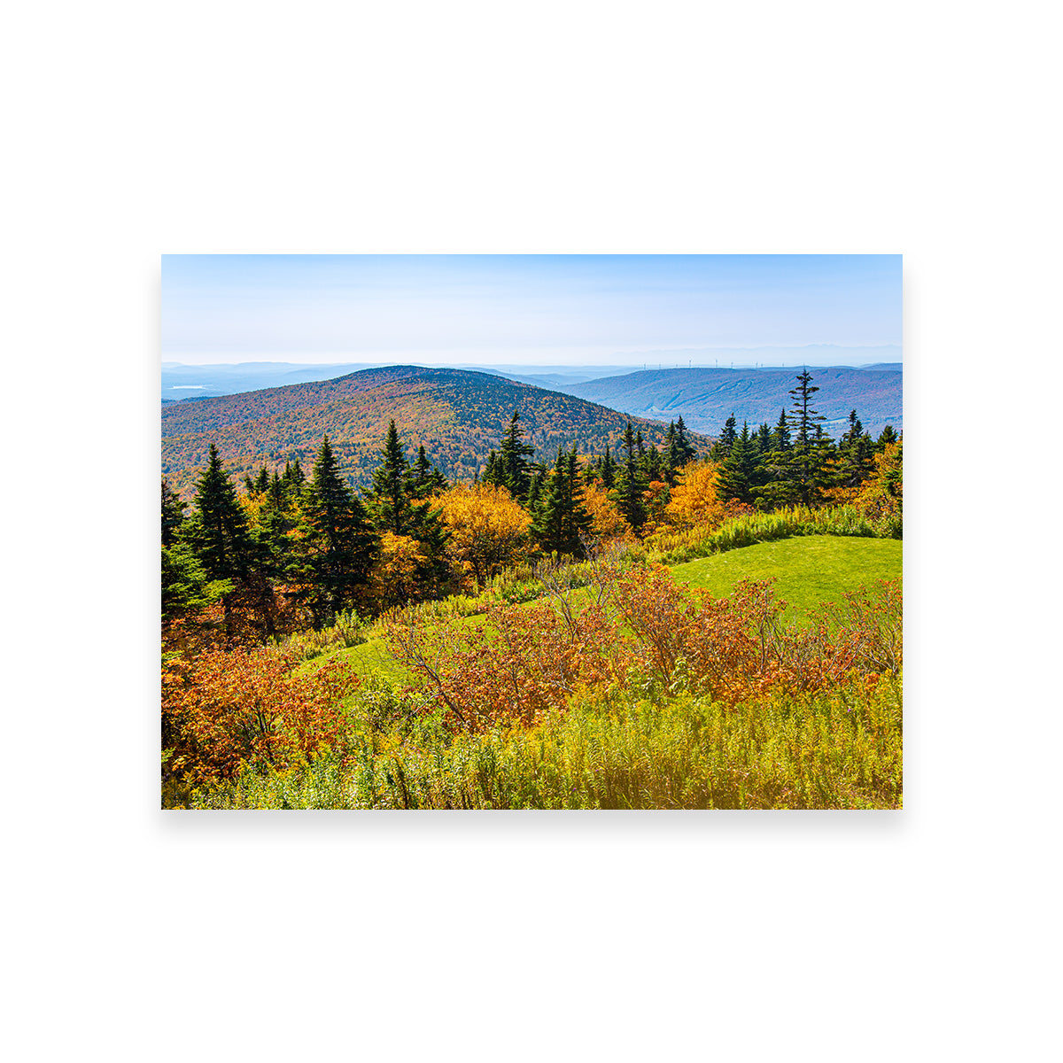 Mount Greylock Summit Wall Art