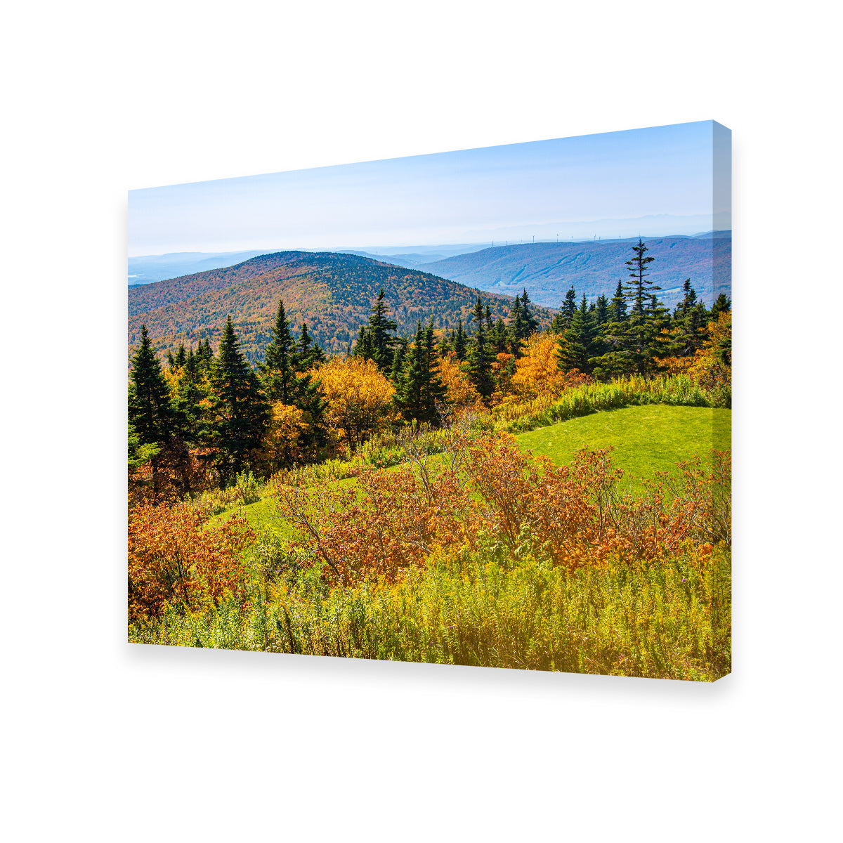 Mount Greylock Summit Wall Art