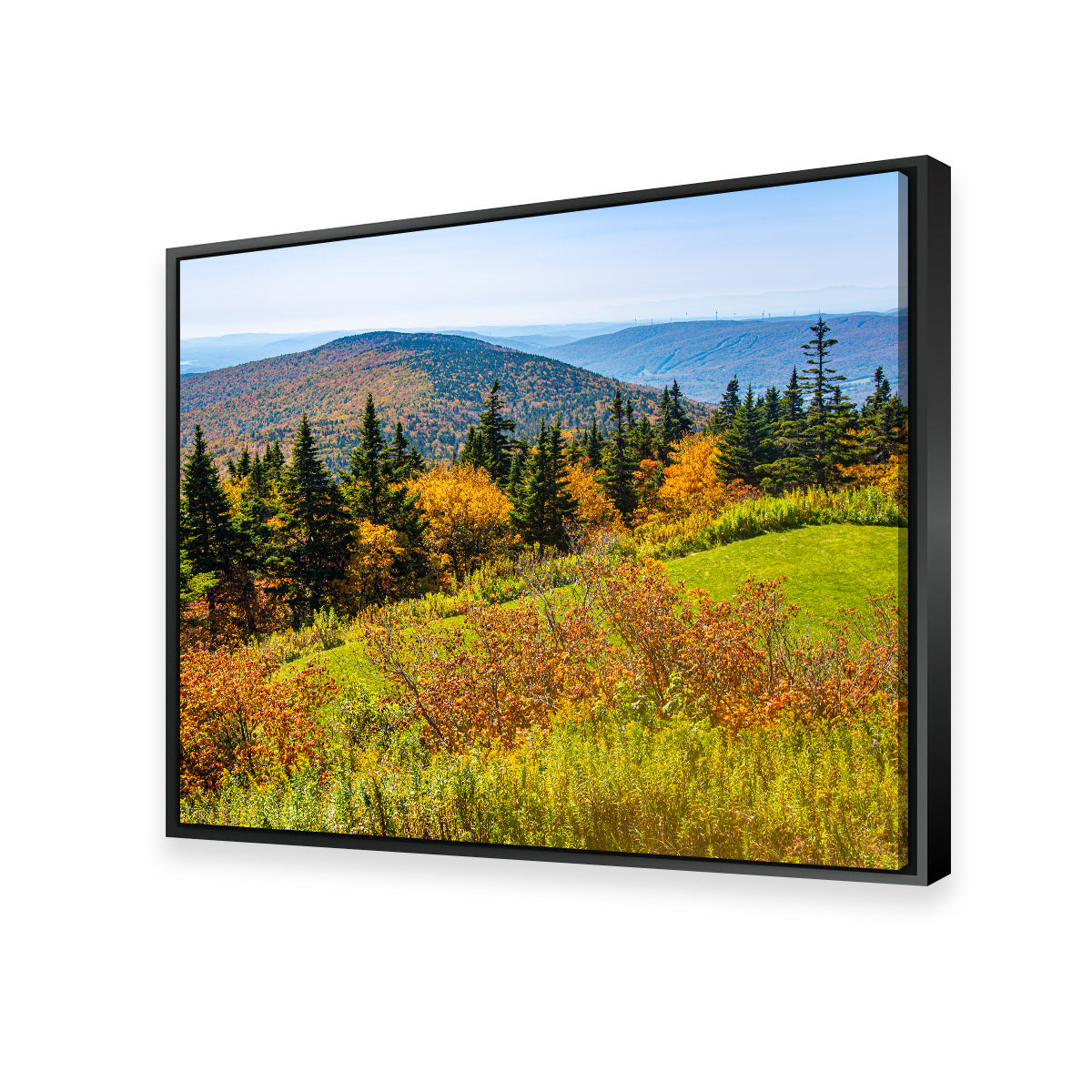 Mount Greylock Summit Wall Art